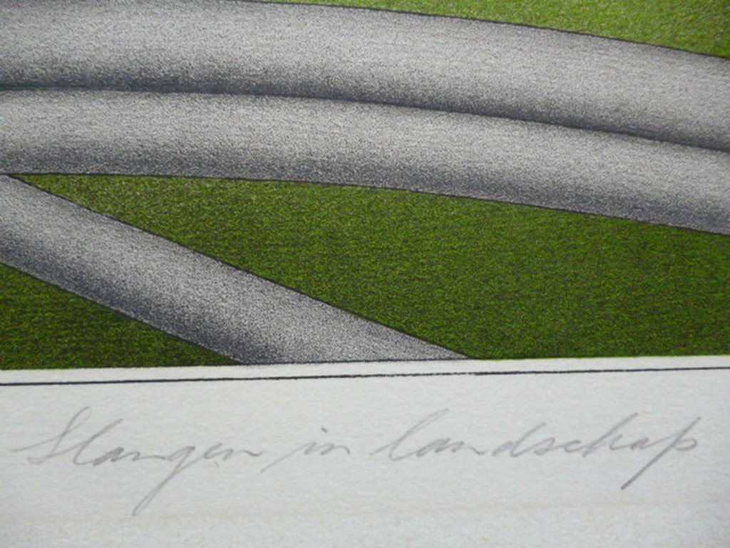 Marinus Fuit - kleurenlitho - Slangen in landschap kopen? Bied vanaf 60!