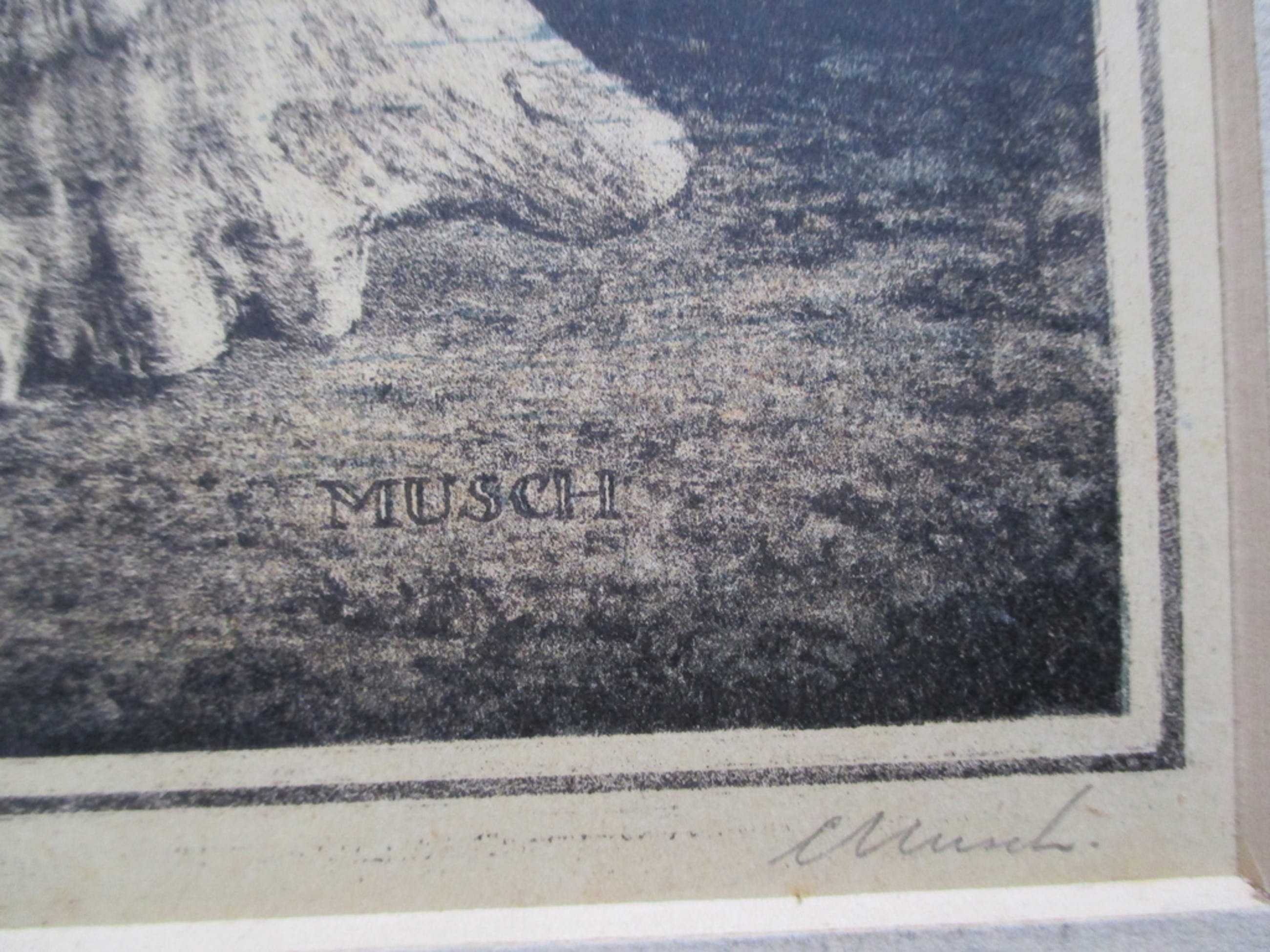 Evert Musch Evert Musch, litho schelpen Verkocht Kunstveiling.nl