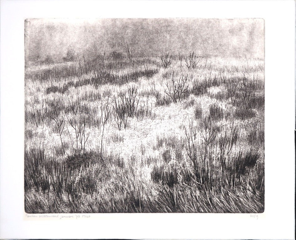 Paulien Wittenrood: Ets, Mist kopen? Bied vanaf 40!