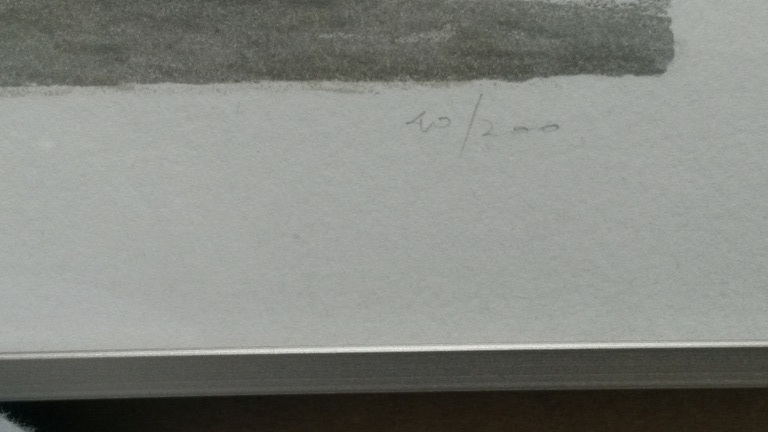 Mart Kempers - kleurenlitho -  Boerderij kopen? Bied vanaf 25!