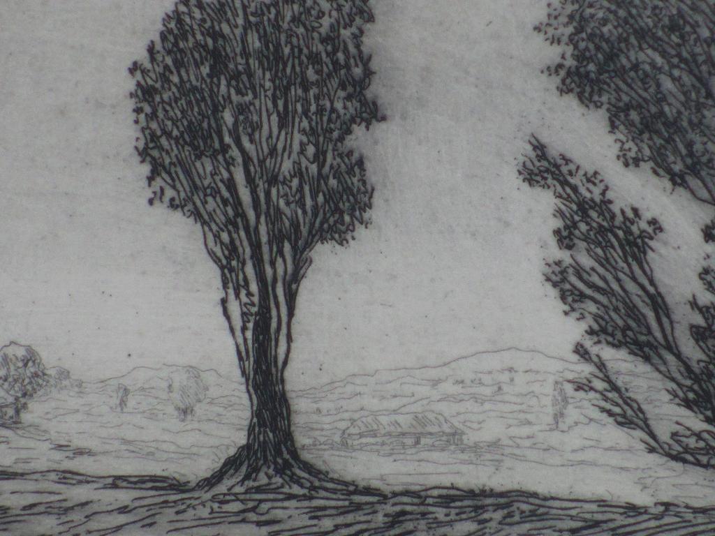 Johan Windhorst, Duingebied, Ets kopen? Bied vanaf 25!