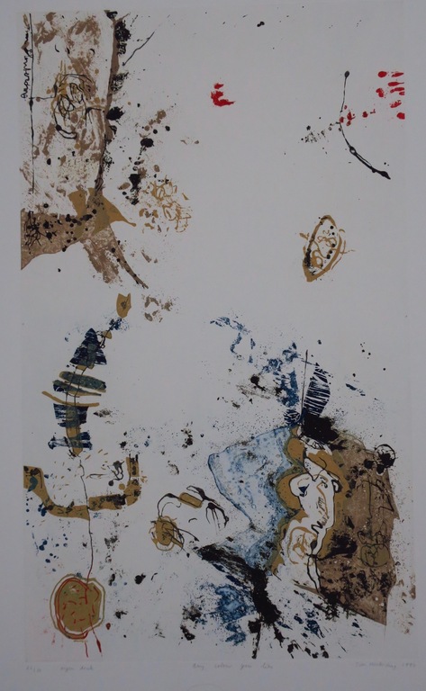 Tim Hinterding: Ets en aquatint, Any colour you like kopen? Bied vanaf 1!