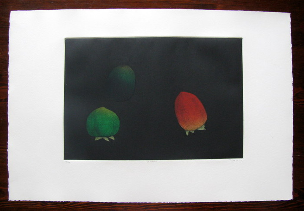 Tomoe Yokoi, "Kaki", mezzotint verkocht voor € 100!