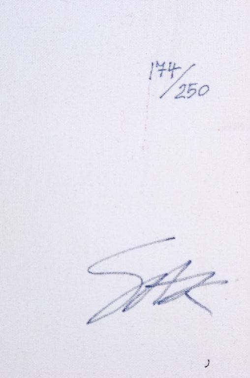 Steve Kaufman: Zeefdruk op doek. Groot. Elvis Presley kopen? Bied vanaf 250!