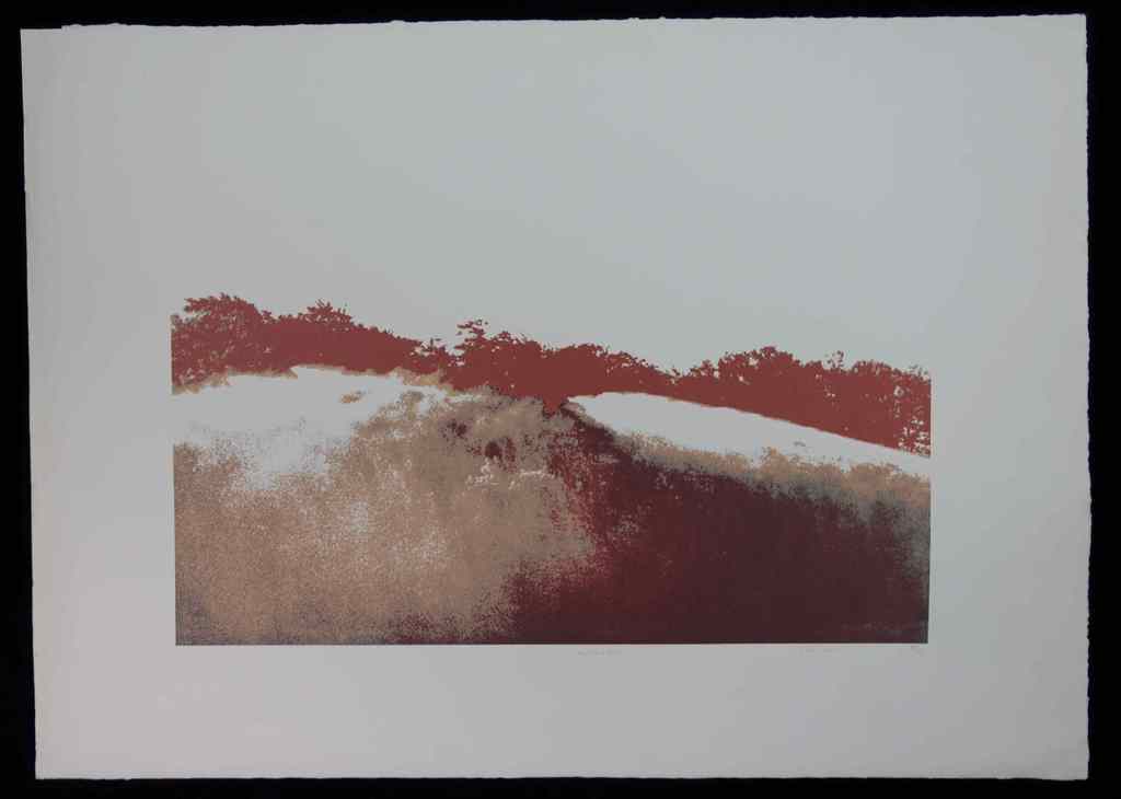 Maria Strik: Zeefdruk, Ray Refraction  kopen? Bied vanaf 1!