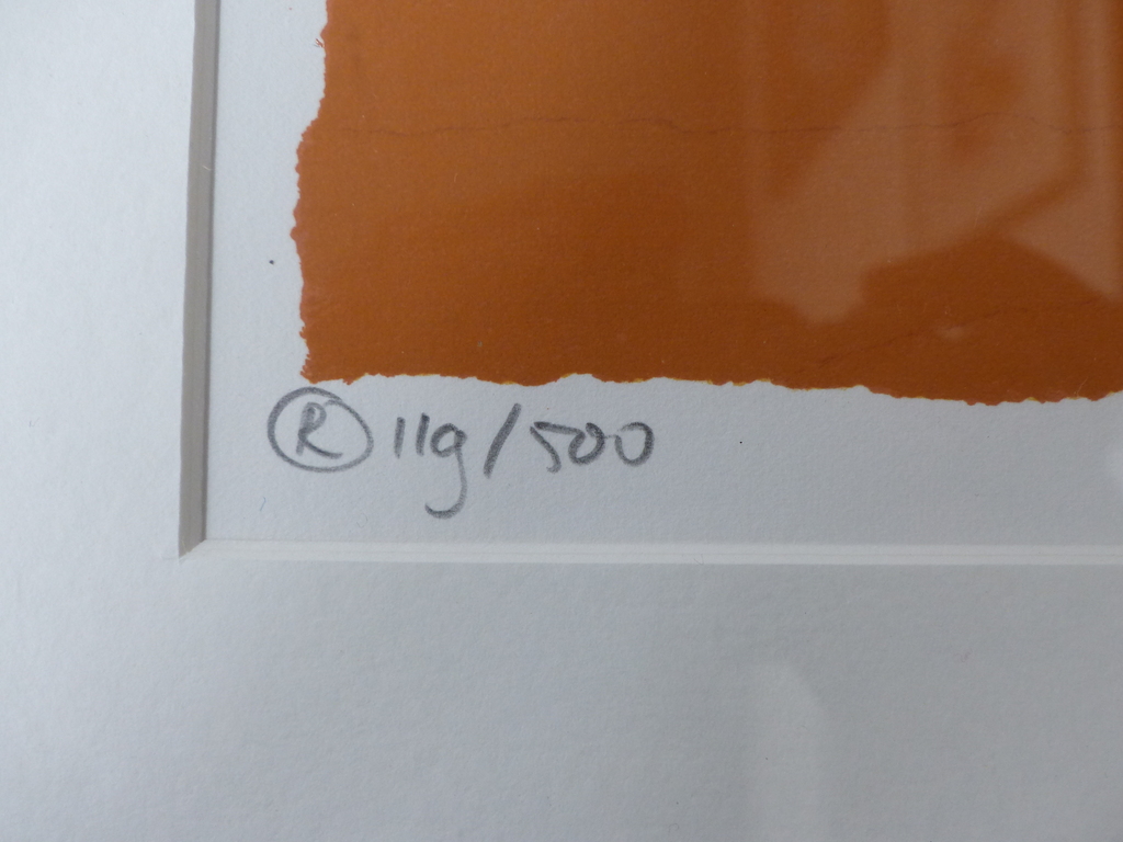 Hans Innemee,Zeefdruk op papier, Ingelijst,Handgesigneerd,Titel Frog. kopen? Bied vanaf 50!