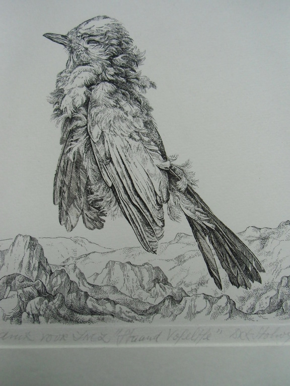 STAAND VOGELTJE  //  ETS VAN DICK STOLWIJK verkocht voor € 50!