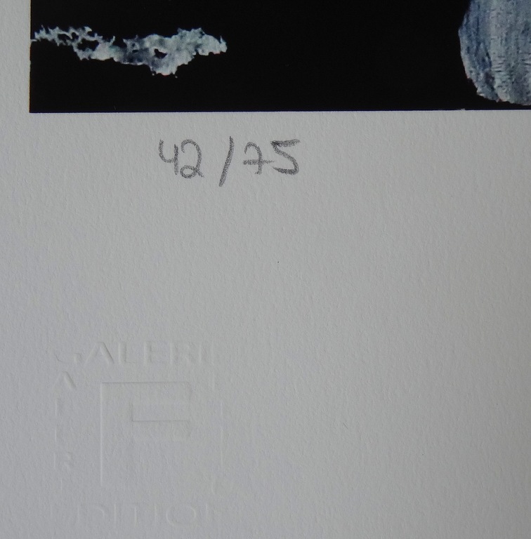 Paul Kostabi - We Own This. Handgesigneerd en - genummerd kopen? Bied vanaf 39!