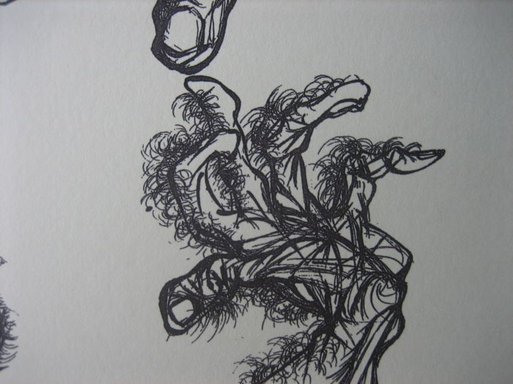 Salvador Dali - The Hairy Hand - Lithografie - Oplage 2500 ex. - 1944 kopen? Bied vanaf 1!