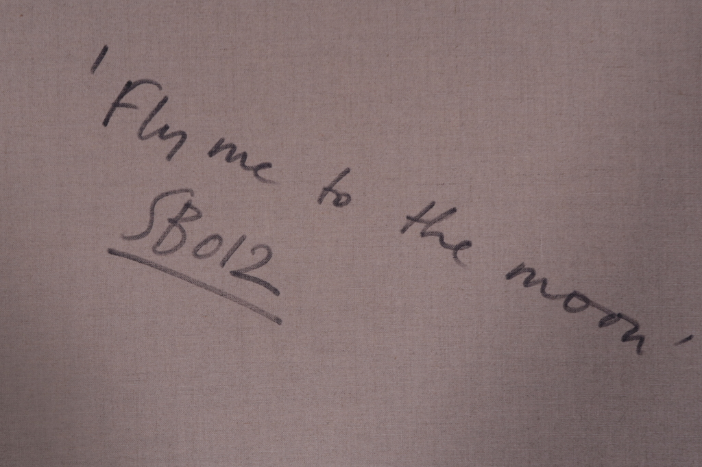 Simon&Bruno: Acrylverf op doek, Fly me to the moon - Ingelijst (Groot) kopen? Bied vanaf 80!