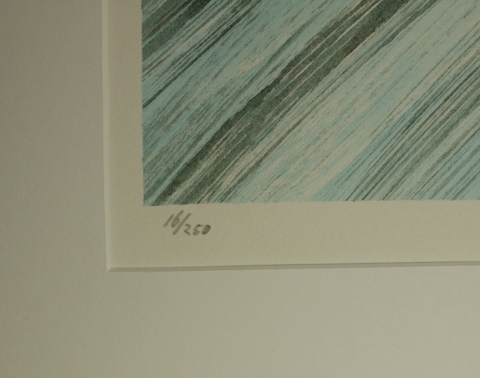 Jeroen Henneman, litho, 1995 kopen? Bied vanaf 150!