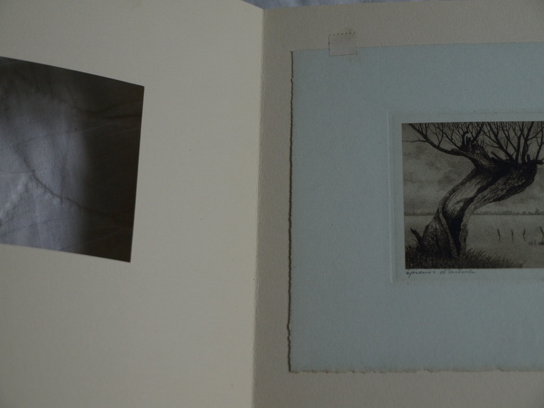 Dirk Harting (1884-1970) : Ets – Knotwilg aan het water – gesigneerd – ca 1935 kopen? Bied vanaf 25!