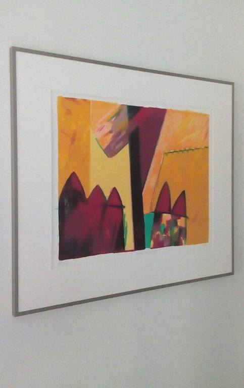 Fenneke van der Elst: Ingelijste litho, Geen titel kopen? Bied vanaf 35!