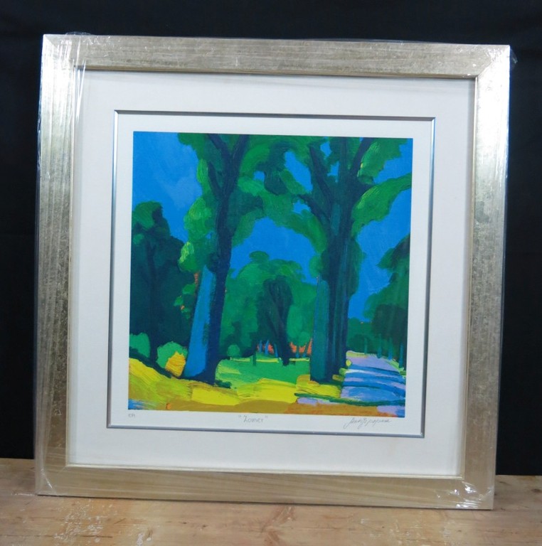 Jentsje Popma: Zeefdruk, Zomer - Ingelijst kopen? Bied vanaf 70!