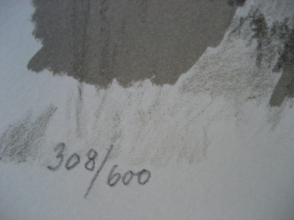 Zeefdruk uit 1983 Rotsachtig landschap kopen? Bied vanaf 1!