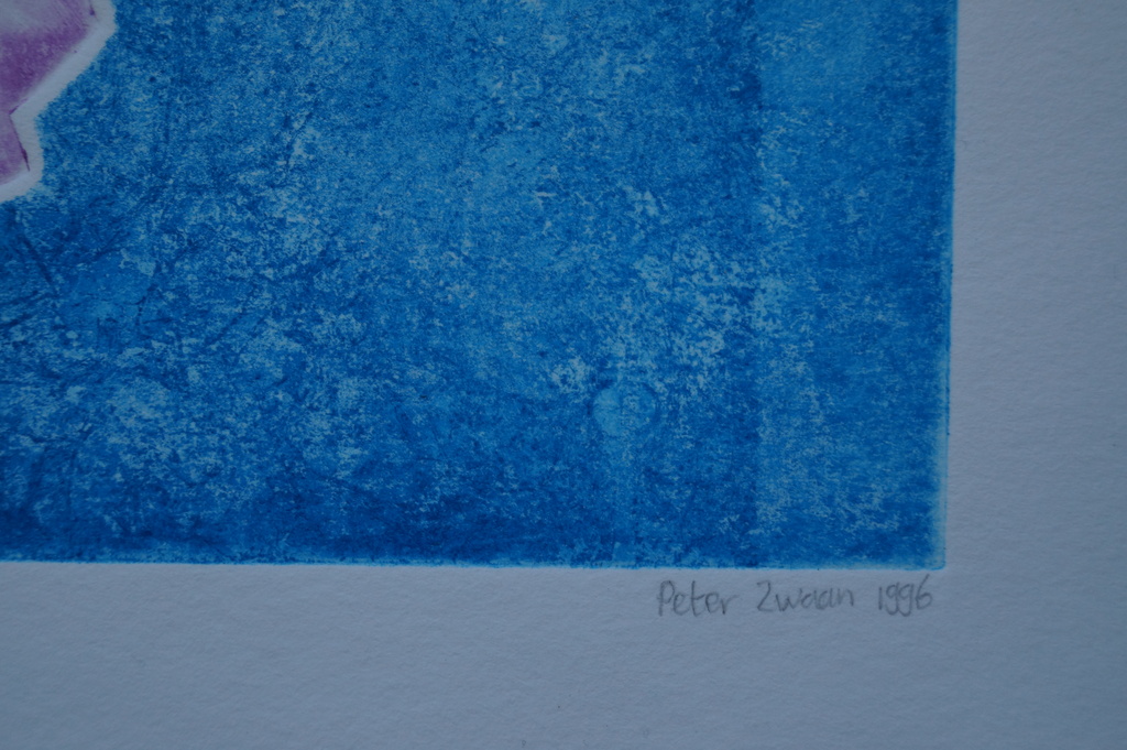 Onbekende kunstenaar - gesigneerde ets - 1996 kopen? Bied vanaf 10!