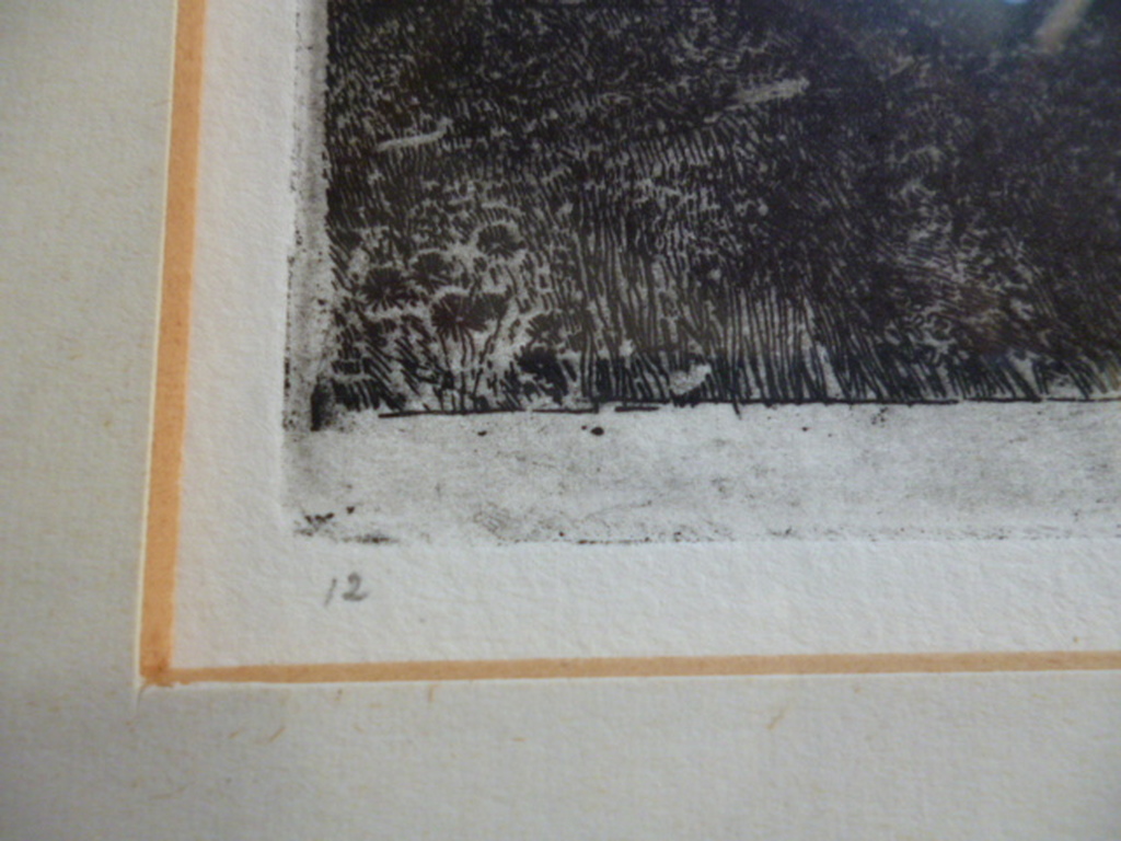 Charles Donker - ets - Geknotte zwarte moerbei kopen? Bied vanaf 125!