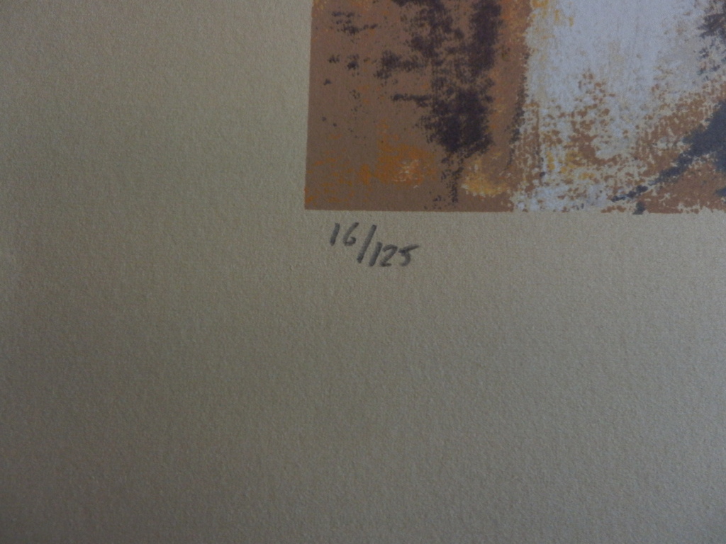 JOSE van GOOL   Zeefdruk LEZENDE DAME  Handgesigneerd kopen? Bied vanaf 35!