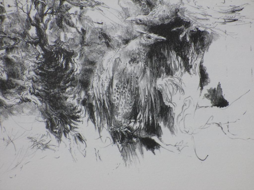 Jan Mensinga, Vogels en een uil, Litho kopen? Bied vanaf 45!