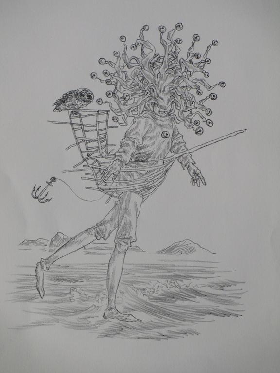 Peter Vos, Narrenschip met Uil, Litho verkocht voor € 120!