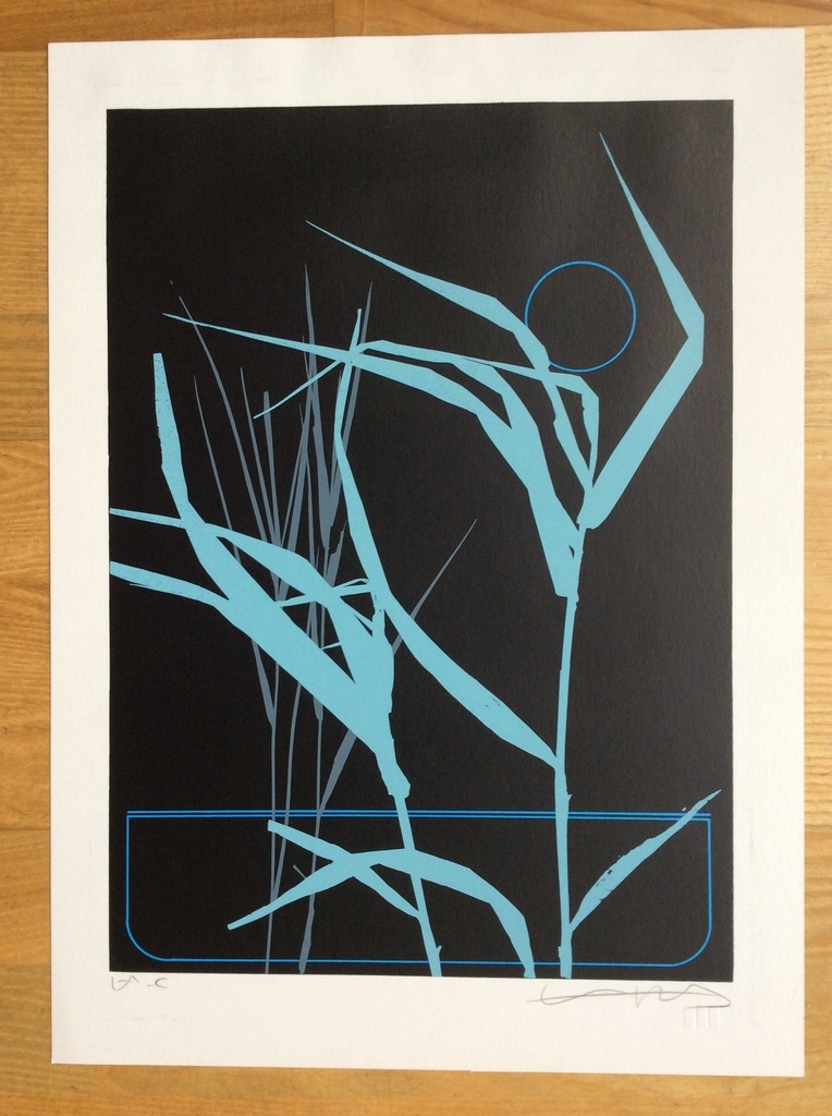 Onbekende kunstenaar - zeefdruk  kopen? Bied vanaf 1!