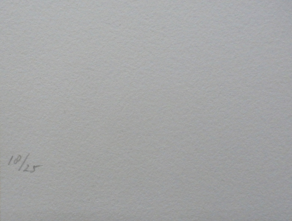 Armando - litho: confrontaties tussen potlood en papier (bomen)  kopen? Bied vanaf 260!