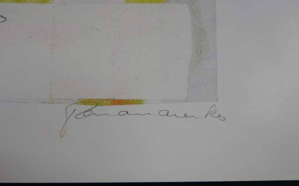 Panamarenko: Offset, Kip kip kip kopen? Bied vanaf 450!