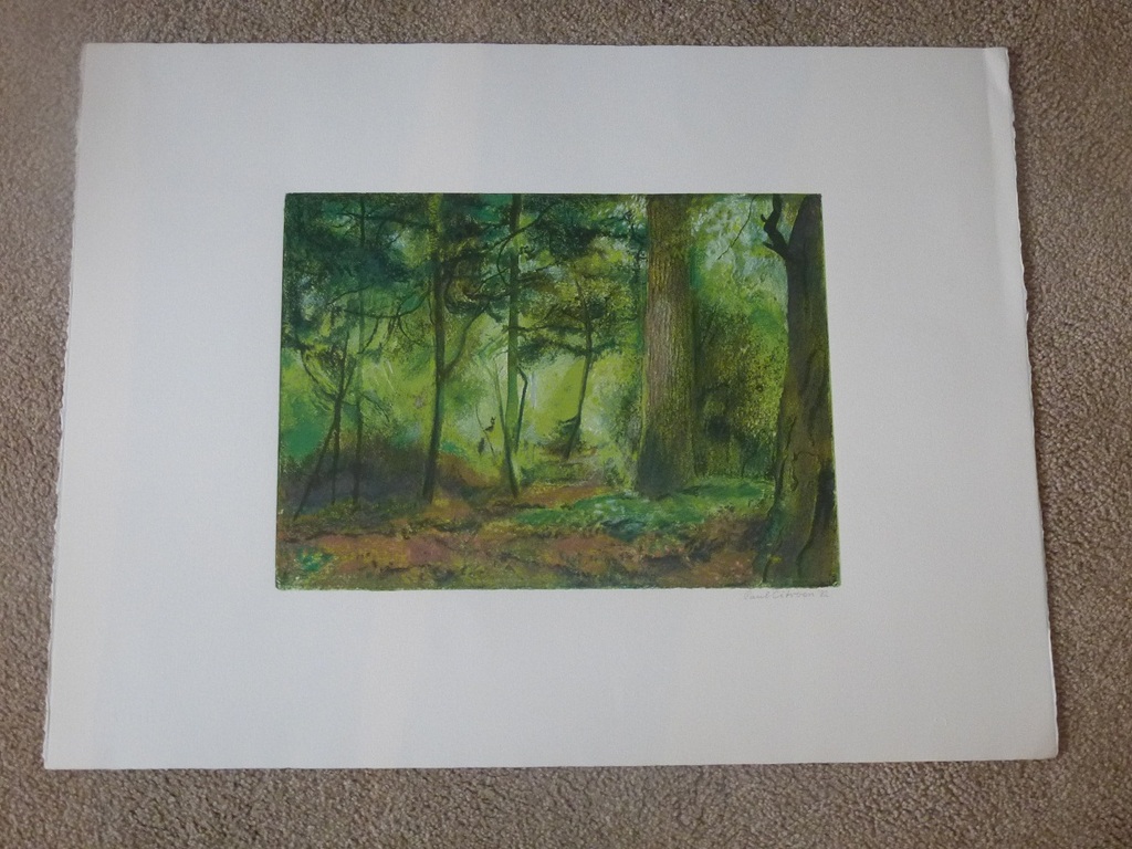 Paul Citroen, kleurenlitho, boslandschap, 1982, handgesign. kopen? Bied vanaf 150!