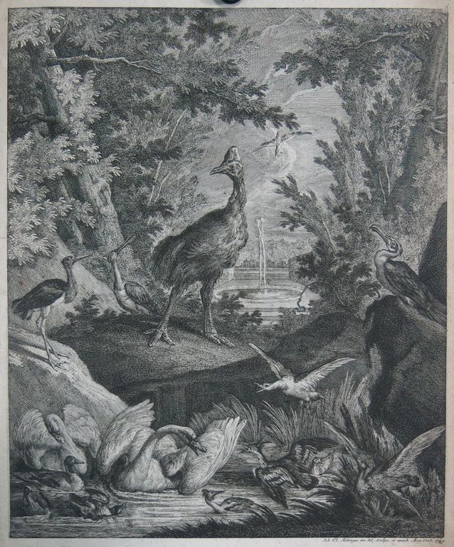 Johann Elias Ridinger: Ets, Zwaan kopen? Bied vanaf 35!