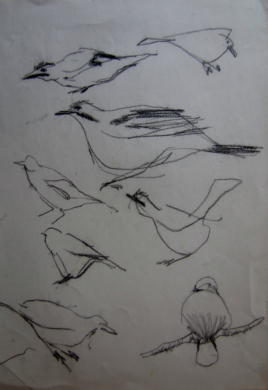 Willem Kouwer Boomkens (1911-1991) - 7 schetsen set 4 kopen? Bied vanaf 1!