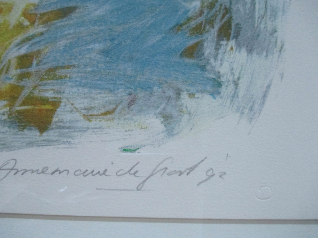 Annemarie de Groot, gelijste litho groot 1992 kopen? Bied vanaf 45!