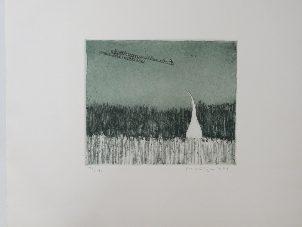 Jan Montyn, Ets/ Aquatint 1975, gesigneerd en genummerd 31/190 kopen? Bied vanaf 150!