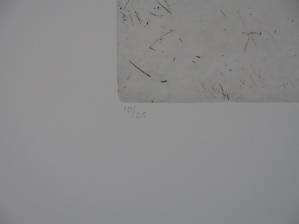 Robert Terwindt: Ets, Icarus VI Oervogel kopen? Bied vanaf 20!