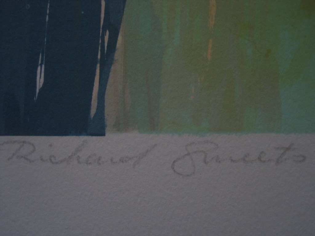 Groot 1987 abstract figuratief gesigneerde Litho "Venice" Richard Smeets (1955)  kopen? Bied vanaf 1!