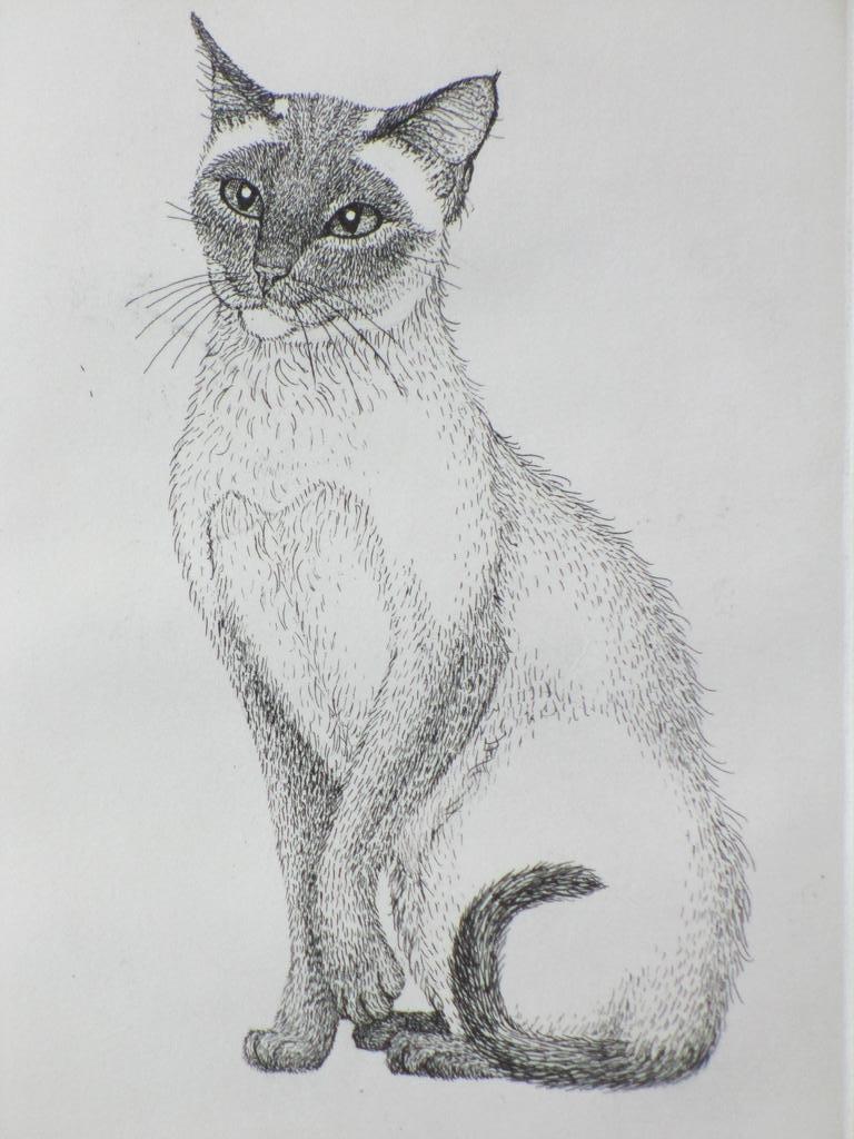 Ella van Schaik, Siamees, Ets kopen? Bied vanaf 30!