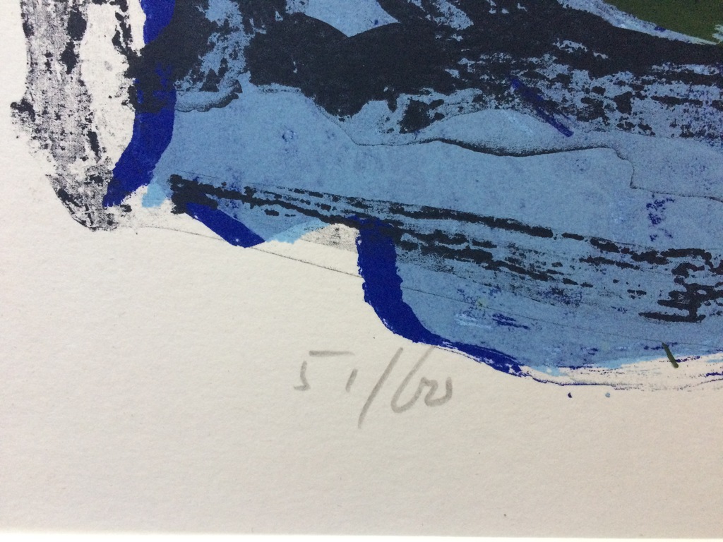 John Lie a Fo, grappige grote zeedruk, De kikker zie tot de vis 51/60 kopen? Bied vanaf 35!