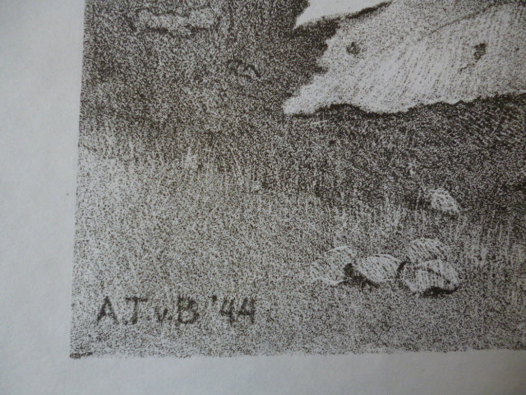 Anna Catharina Teding van Berkhout - litho - Ridderspoor kopen? Bied vanaf 40!