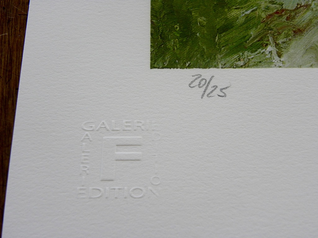 Armando - 'Waldig' - gesigneerde giclee - oplage 25 ex. - 2015 kopen? Bied vanaf 245!