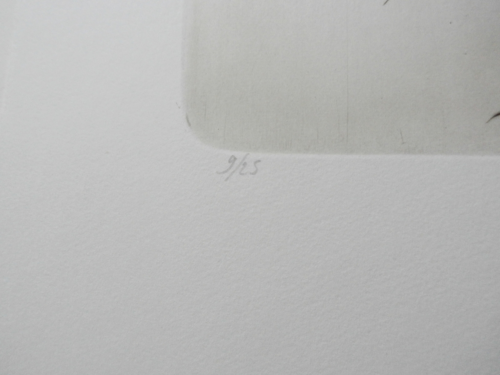 Bert de Keyser - ets: naar naakten van Rembrandt  kopen? Bied vanaf 35!