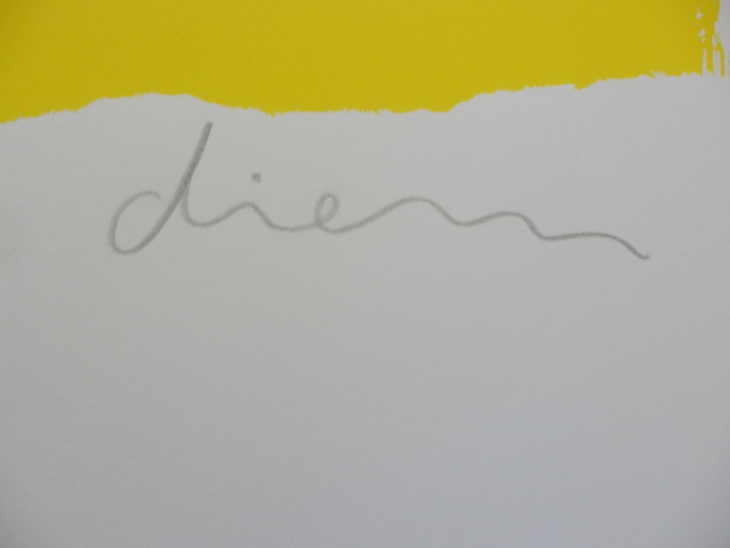 PETER DIEM  ZEER GROTE ZEEFDRUK   COW  YELLOW kopen? Bied vanaf 50!