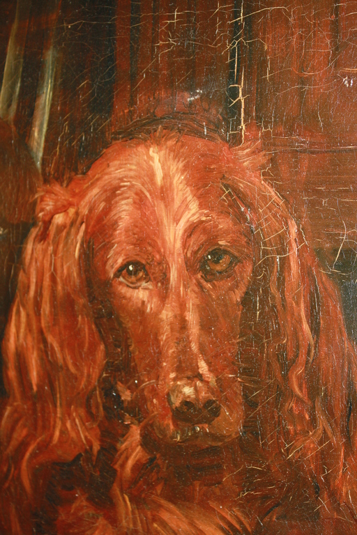 Edith Pijpers - IERSE SETTER - schilderij hond kopen? Bied vanaf 55!