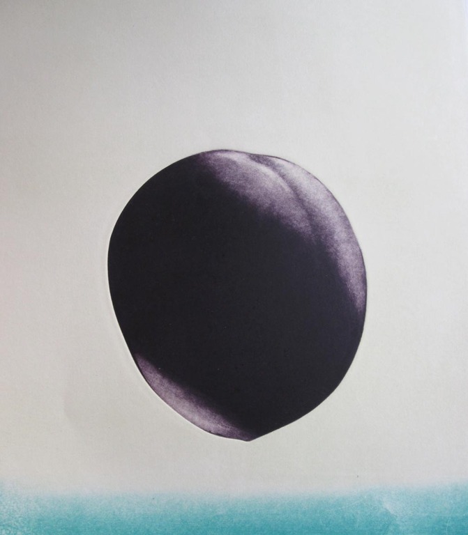 Hank Laventhol - Plum mist - handgesigneerde en genummerde ets kopen? Bied vanaf 39!