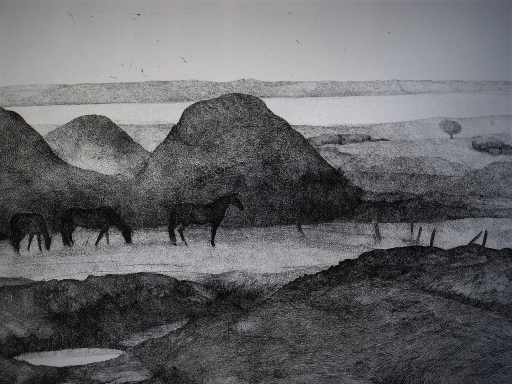 Zeldzaam "Paarden in het zand" Litho vn jonggestorven Grafica Karin Dekeukeleire kopen? Bied vanaf 1!