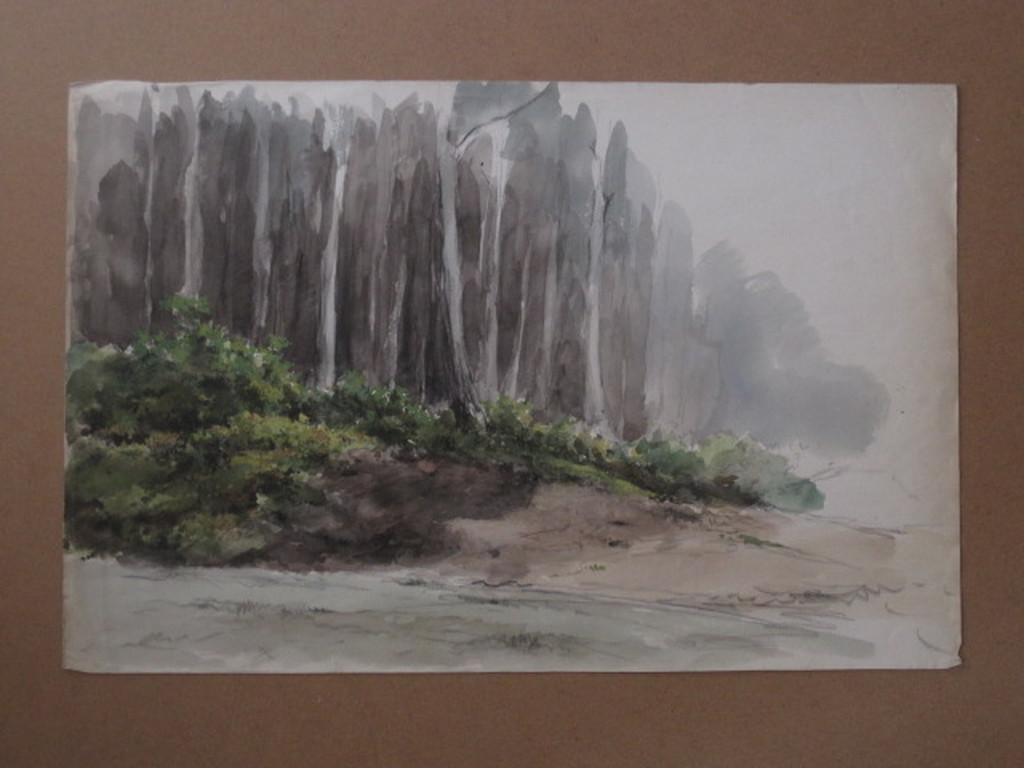 Originele 19e eeuwse Aquarel "Kennemerduinen" van George L Kiers (1838-1916) kopen? Bied vanaf 1!