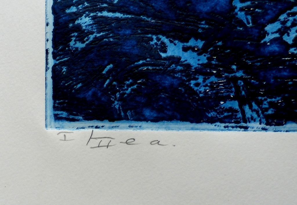 Jan Montyn - ets; In het teken van de dolfijn - 1998 kopen? Bied vanaf 150!