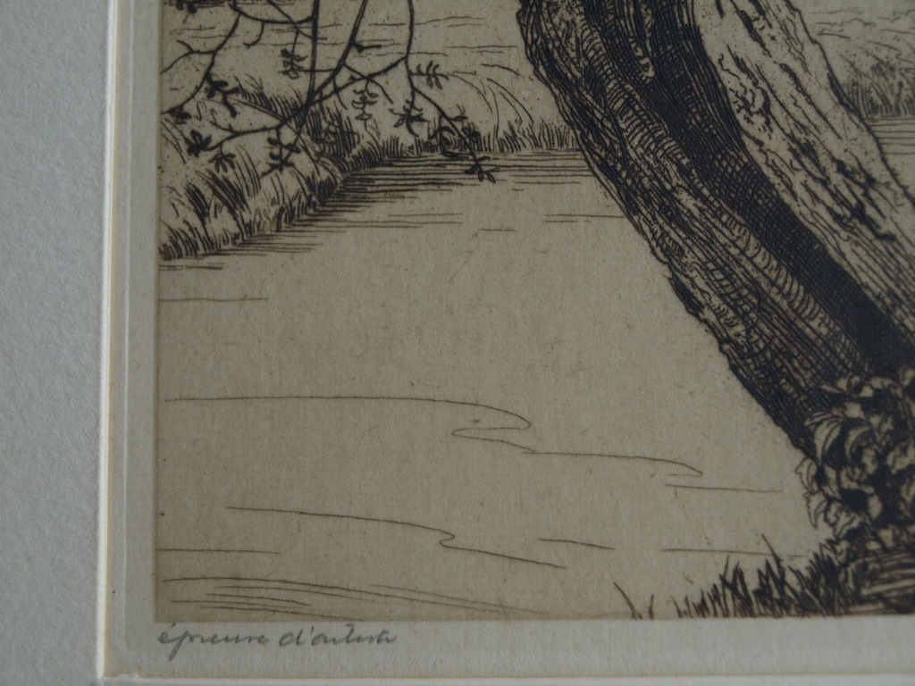 Dirk Harting (1884–1970) : Ets – Knotwilg – Gesigneerd & ingelijst – ca 1935 kopen? Bied vanaf 1!