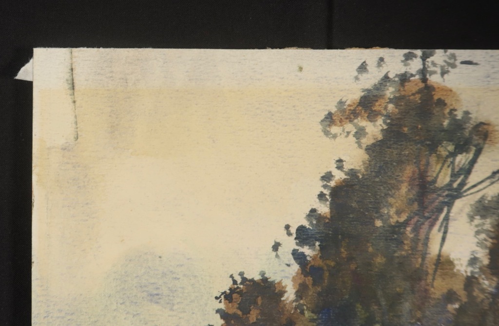 Beint Mankes: Aquarel, Bos kopen? Bied vanaf 1!