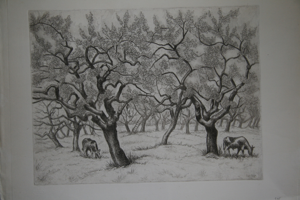 Dick van Luijn, ets, Appelboomgaard kopen? Bied vanaf 30!