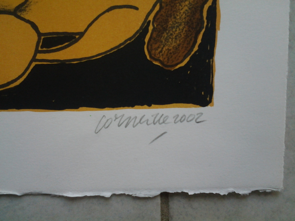 Corneille   , vrouw met vogel , litho op zwaar papier kopen? Bied vanaf 80!