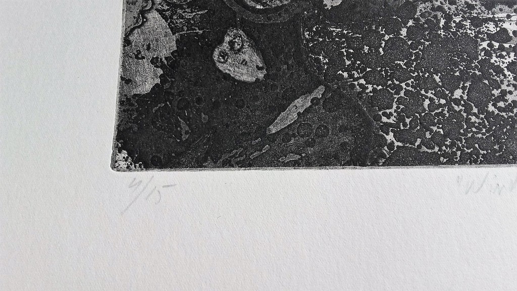 Jan Prins - Windvlaag - Gesigneerd 84 - Ets kopen? Bied vanaf 1!